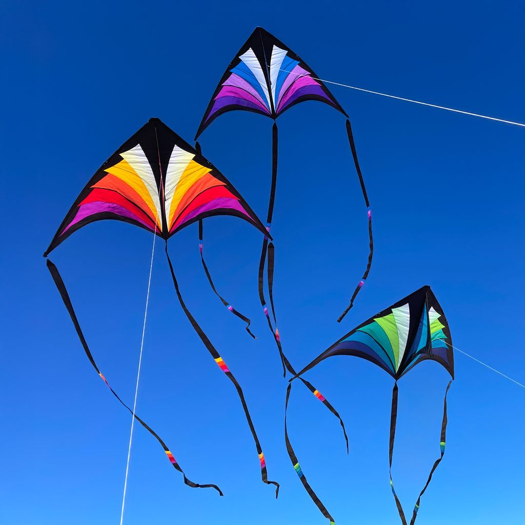 Prism Brasington 9' Taz Delta excludes Lines