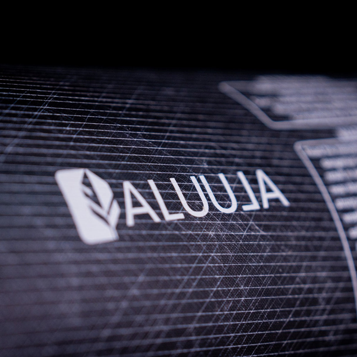 SIC Dragon Wind Wing