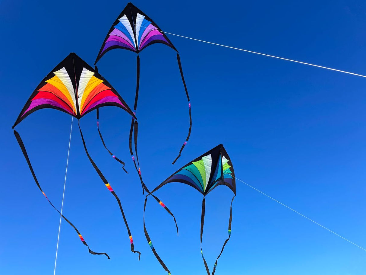 Prism Brasington 9' Taz Delta excludes Lines