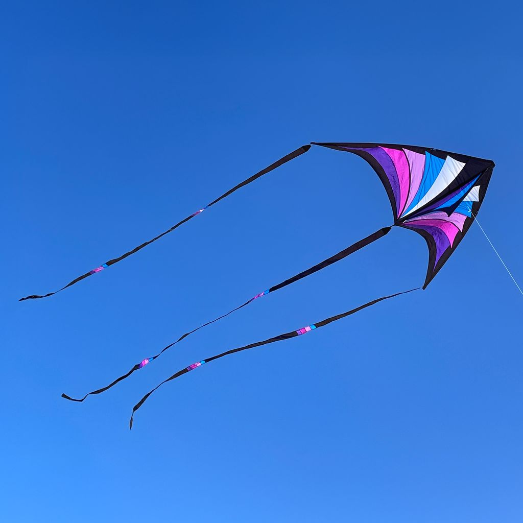 Prism Brasington 9' Taz Delta excludes Lines