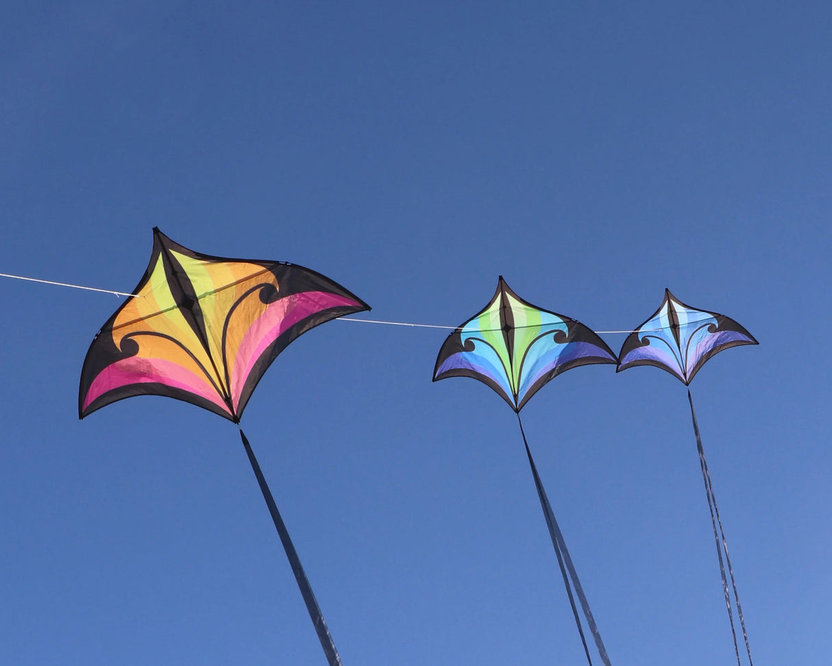 Prism Brasington 5' Swift Delta