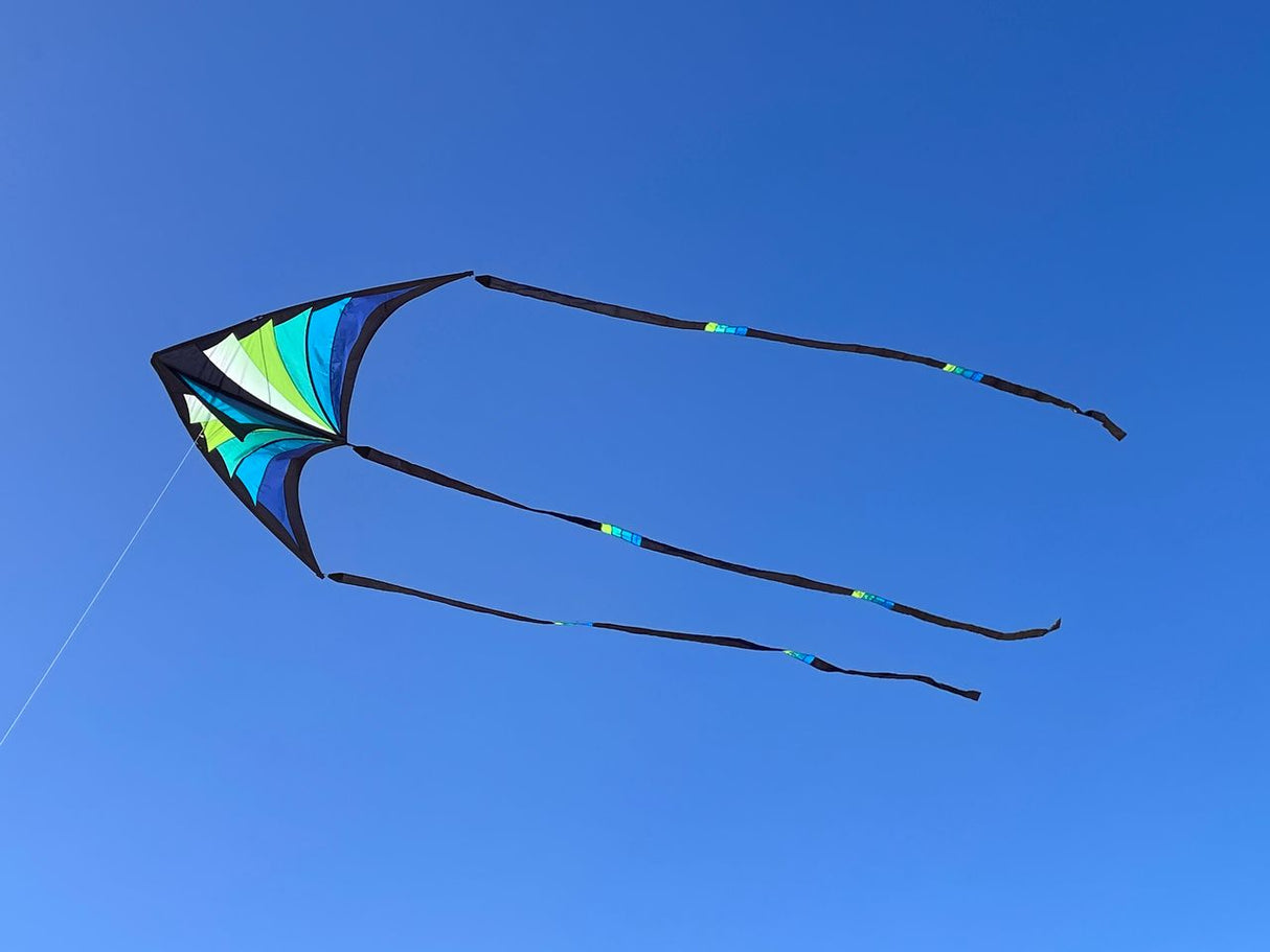Prism Brasington 9' Taz Delta excludes Lines