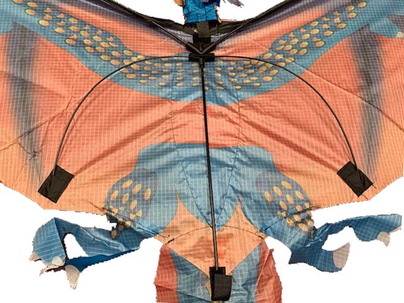 Windspeed Fire Dragon