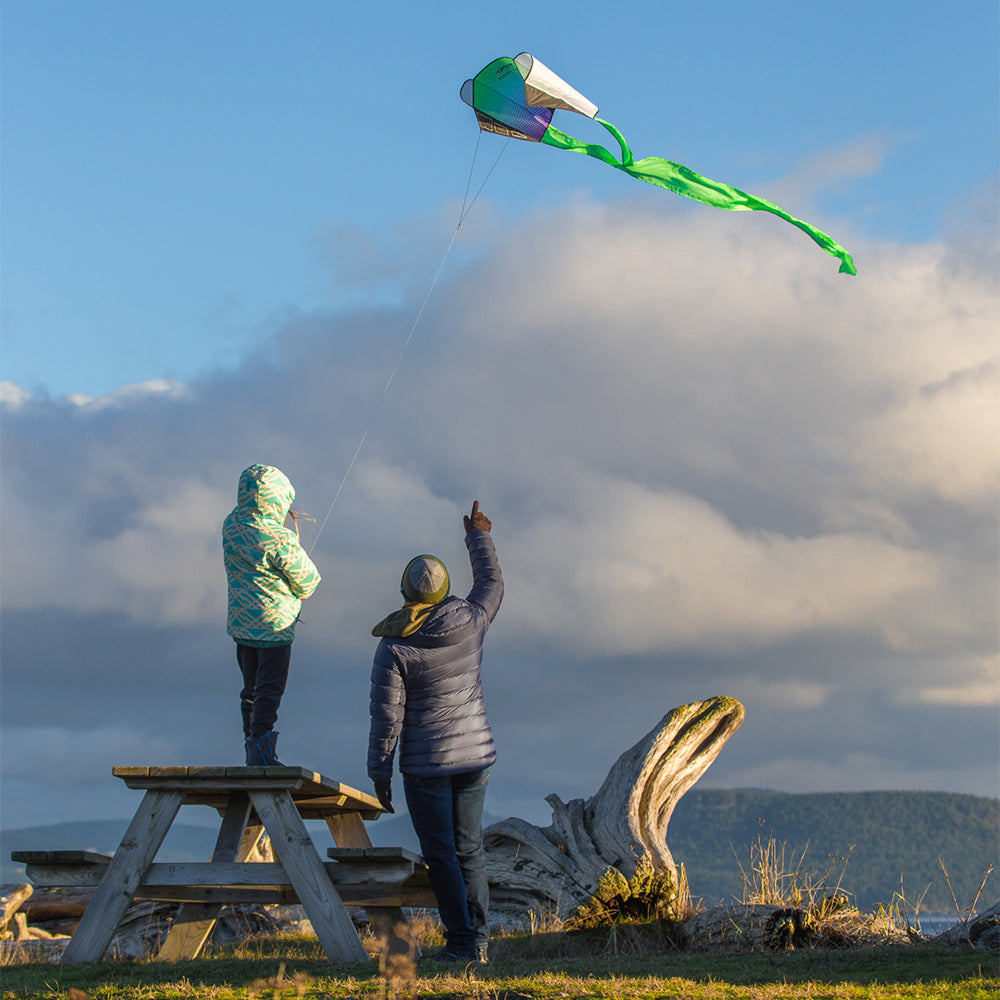 Prism Pocket Flyer Sled Kite
