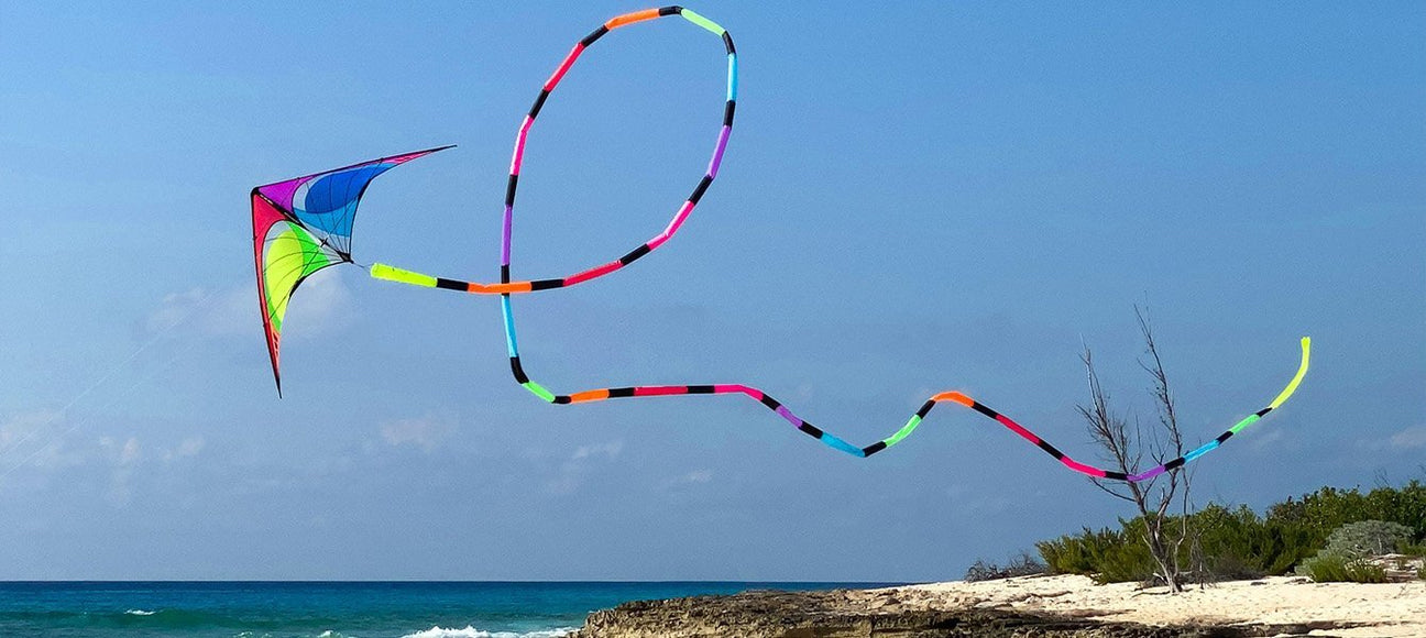 Kite Flying & Kites