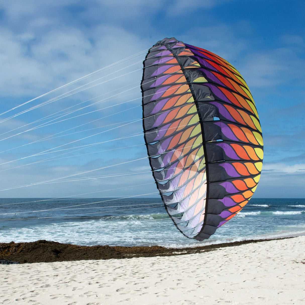 Prism Brasington 6.5' Spinning Bol