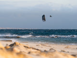 Ozone Vortex Ultra-X Kite Only