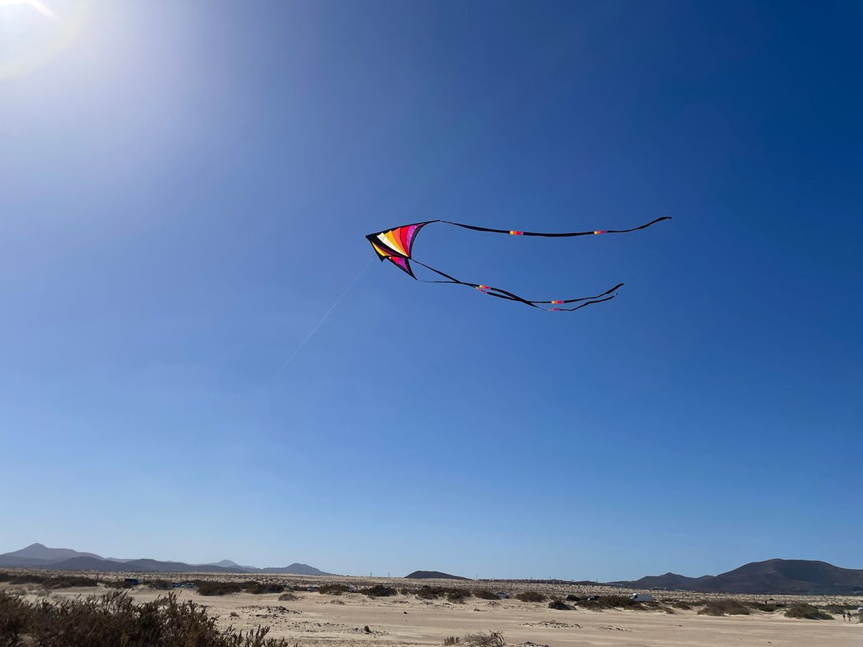 Prism Brasington 9' Taz Delta excludes Lines