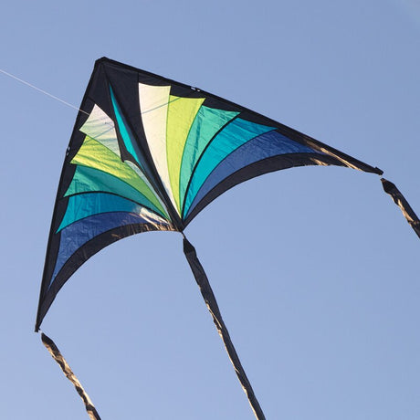 Prism Brasington 9' Taz Delta excludes Lines