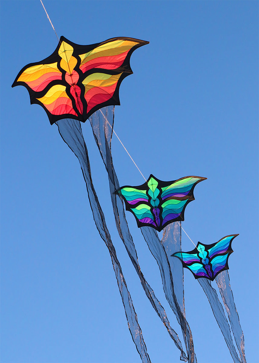 Prism Brasington 6' Butterfly