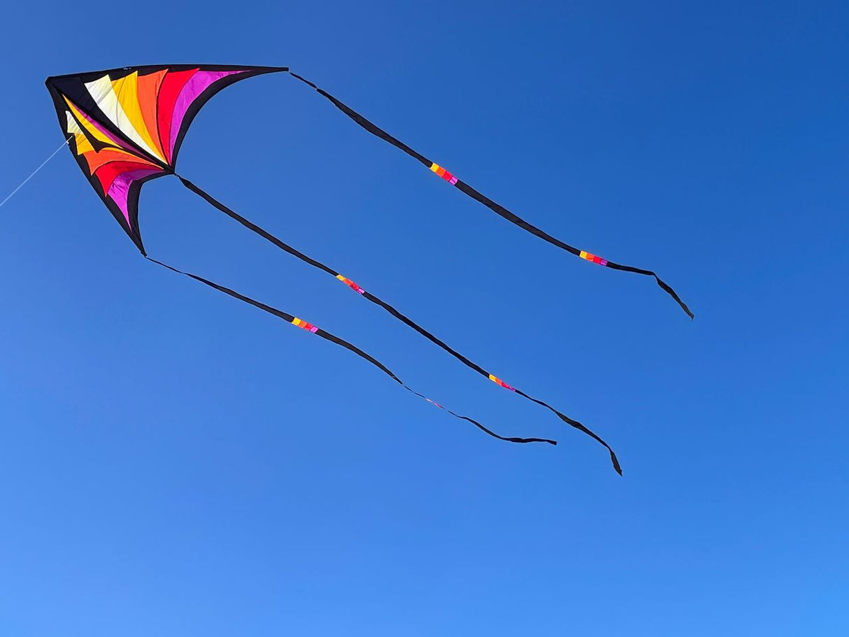 Prism Brasington 9' Taz Delta excludes Lines