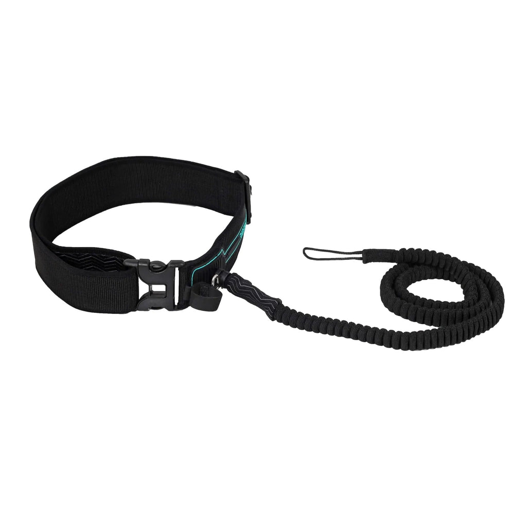 Quick online release leash