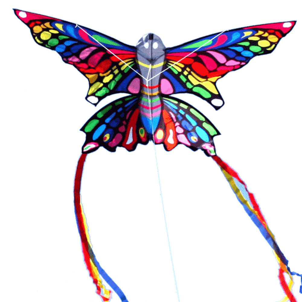 Rainbow butterlfy kite