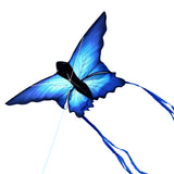 Ulysses Butterfly
